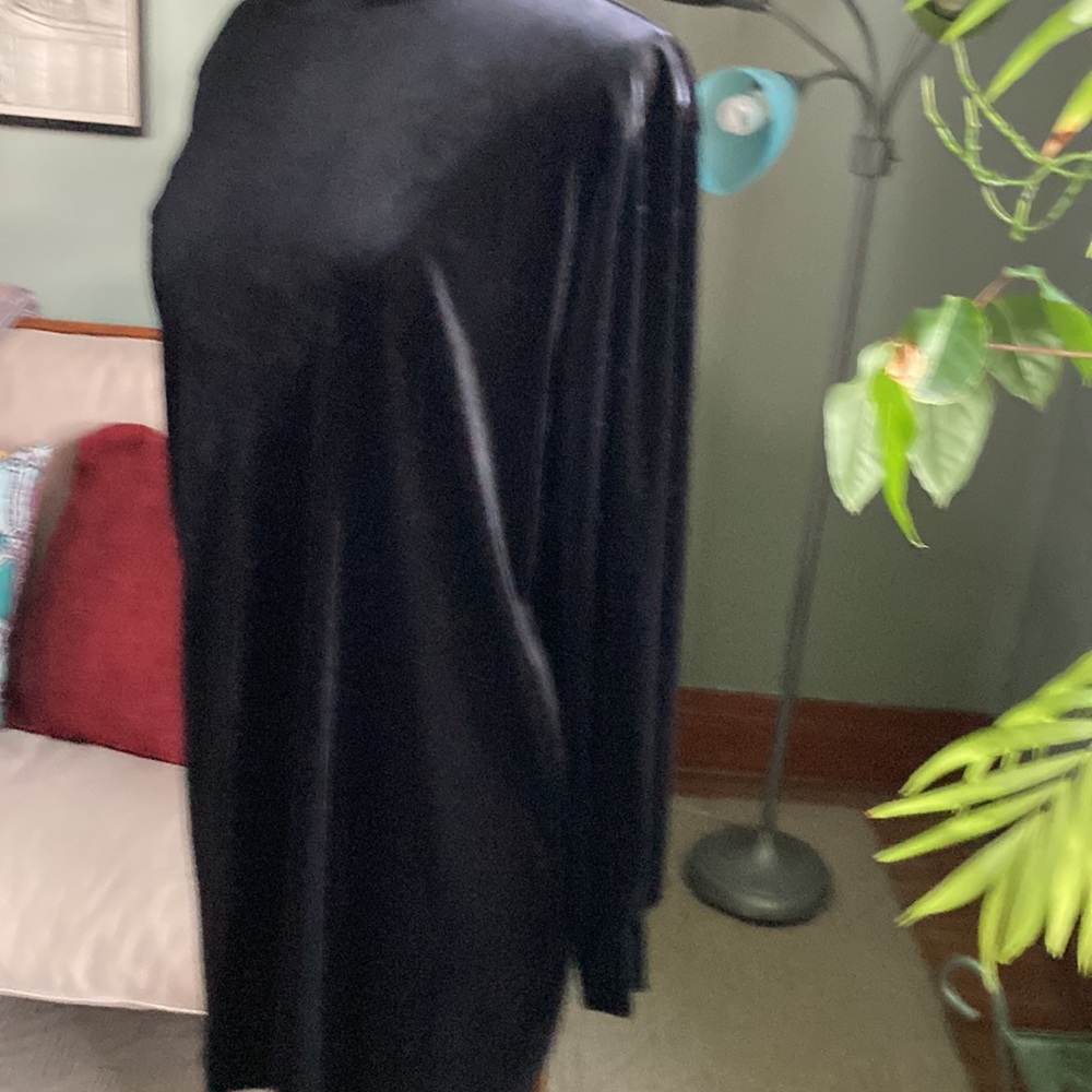 ZARA VELVET DRESS🖤 - Picture 2 of 3